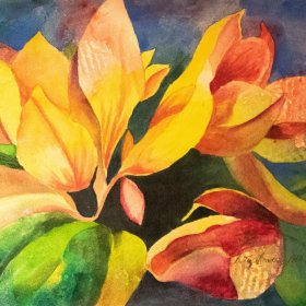 Magnolia Blossoms | Watercolor | 2012