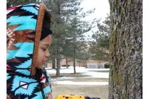 Maple Syrup collection