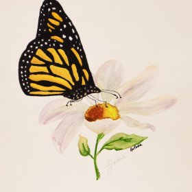 Monarch and Flower | Watercolor | 2012