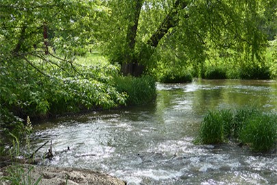 creek at prairiewoods franciscan spirituality center