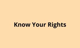 Know Your Rights Training (online)